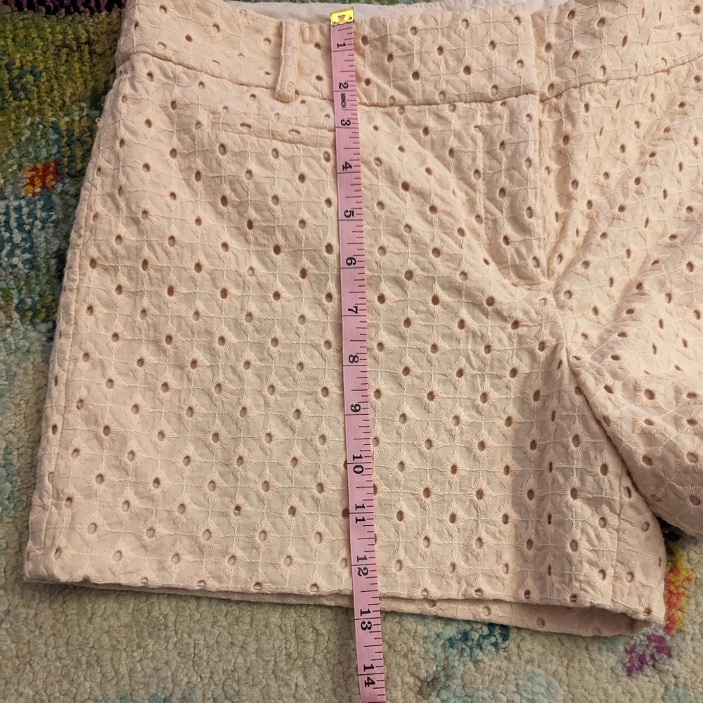 Ann Taylor LOFT Light Pink Textured Shorts Size 8 - Picture 8 of 8